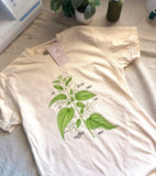 To Love Me Is To Suffer Me / You Know I’d Do Anything For You back design (FULL COLOR NETTLES Plant Version)