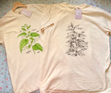 To Love Me Is To Suffer Me / You Know I’d Do Anything For You back design (FULL COLOR NETTLES Plant Version)
