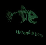 “the end is here” FISH SKELETON GLOW IN THE DARK Embroidered Hoodie or Sweater - Men’s sizing