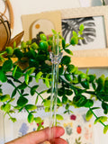 BUTTERFLY Lid & Straw Included  Metamorphosis 17oz Glass Set