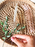 Ecofriendly Straw Cleaner - glass collection